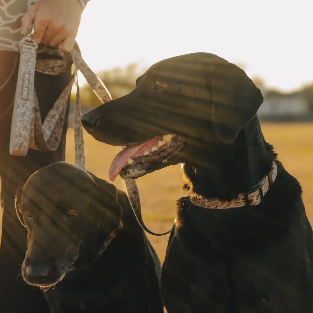 Burlebo Dog Leash
