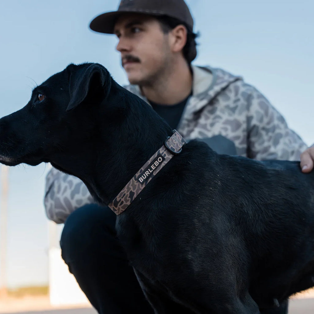 Burlebo Dog Collar